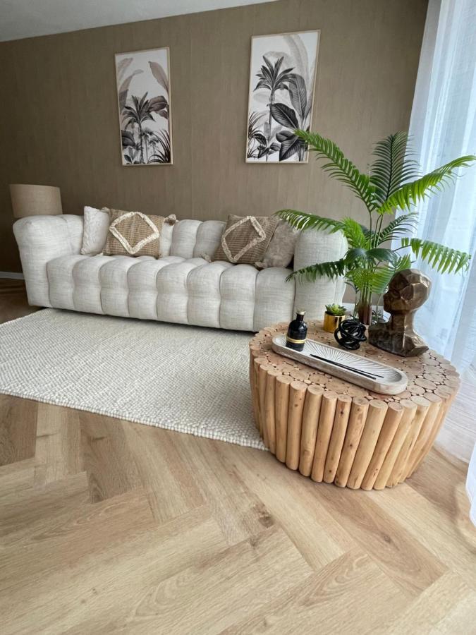 New Cosy Flat Saint Tropez公寓 外观 照片